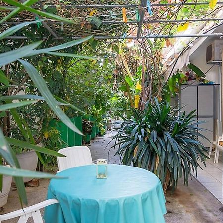 Vintage Style Apartment With Beautiful Backyard Αθήνα Εξωτερικό φωτογραφία