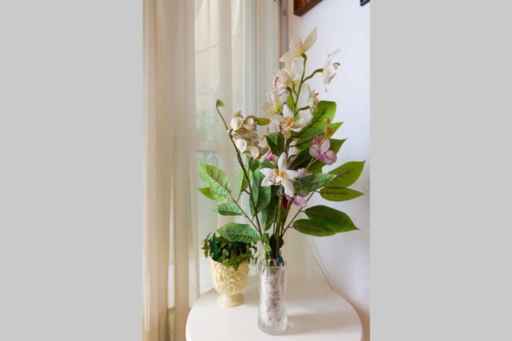 Vintage Style Apartment With Beautiful Backyard Αθήνα Εξωτερικό φωτογραφία